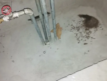 宿迁市卫生间测漏水价格明细